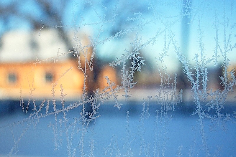 凍り付いた窓ガラス