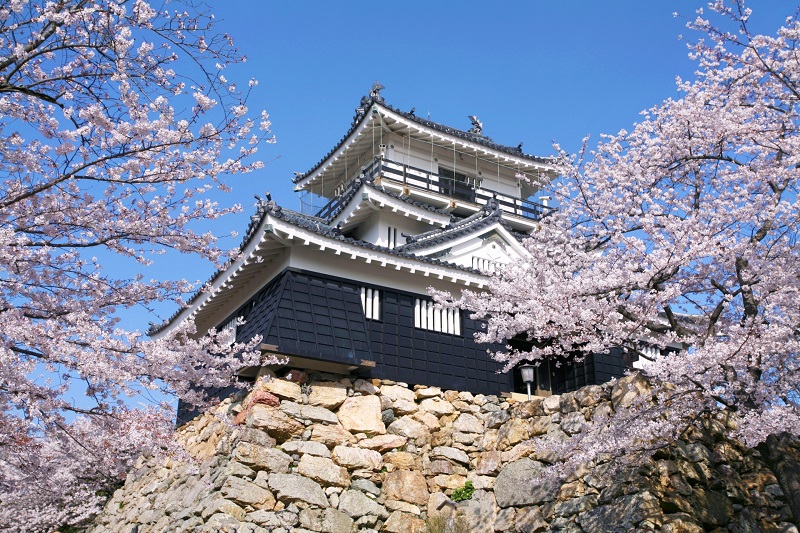 静岡県浜松市の浜松城