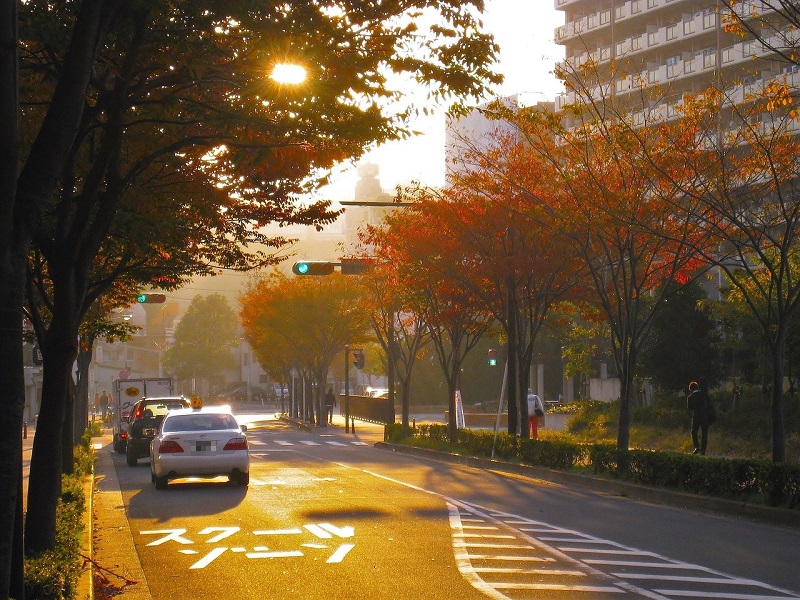 道路沿いの騒音